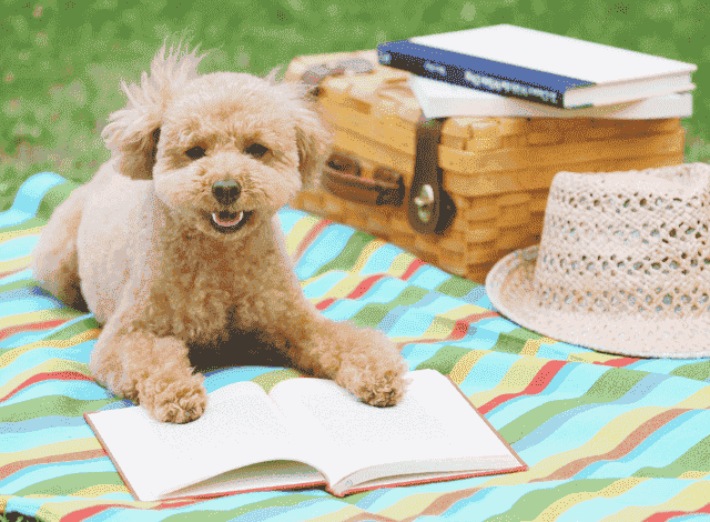 Consigli letture marketing